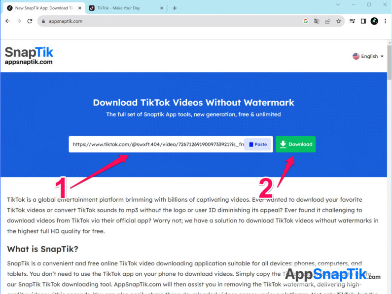 How to Remove TikTok Watermark Online on Computer Quickly Without Ads